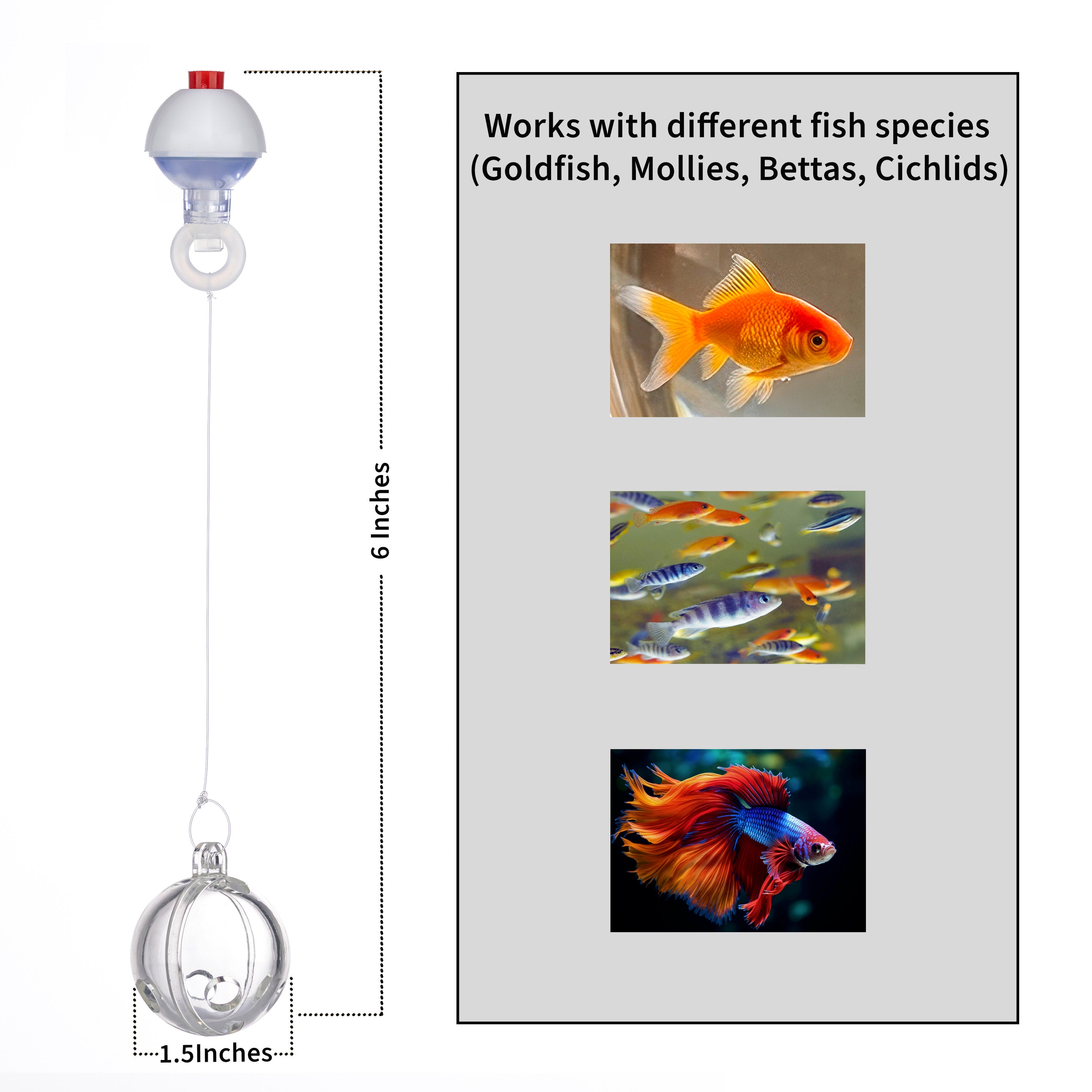 Fish Enrichment Ball