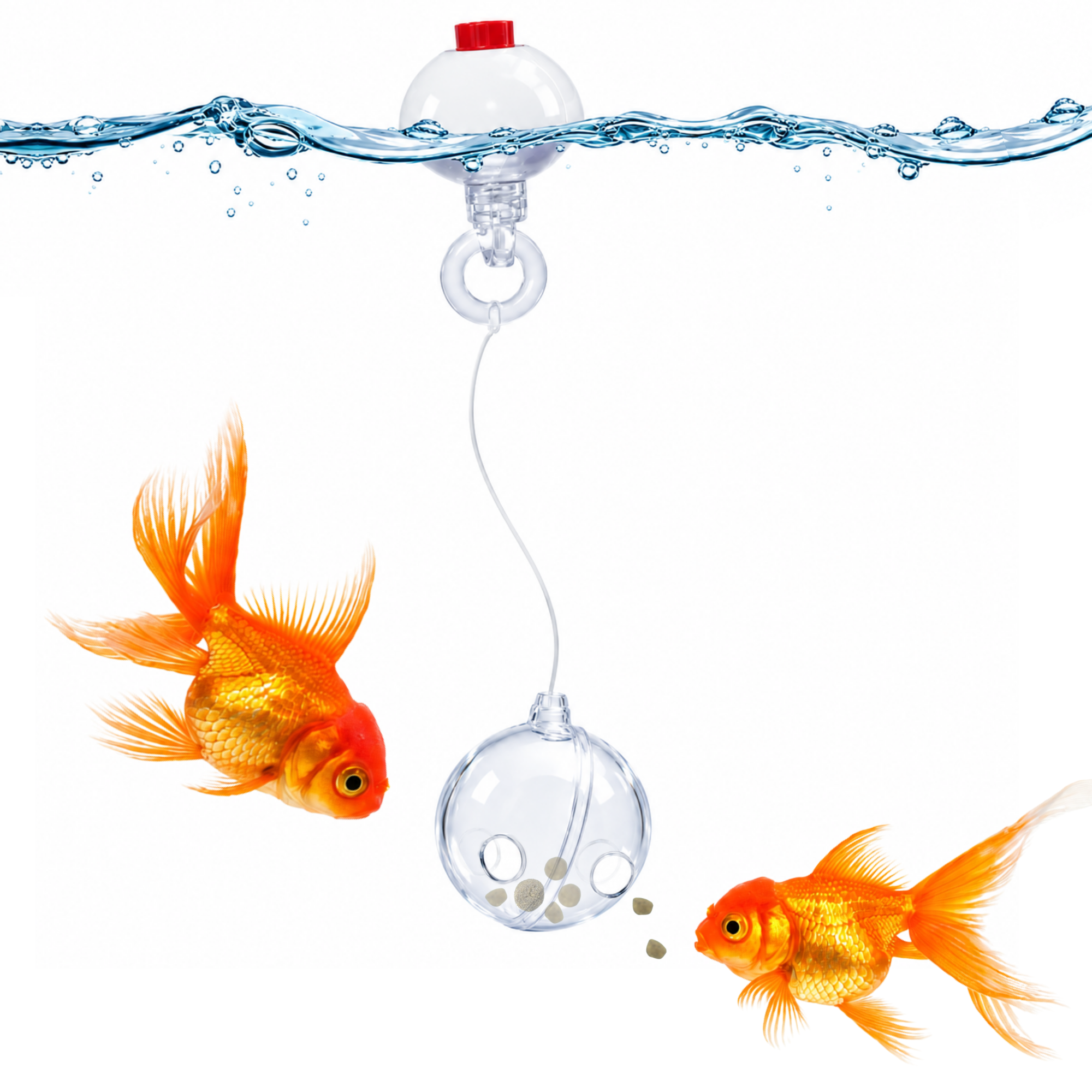 Fish Enrichment Ball